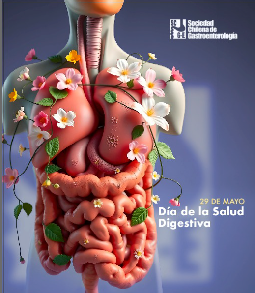 gastro-2