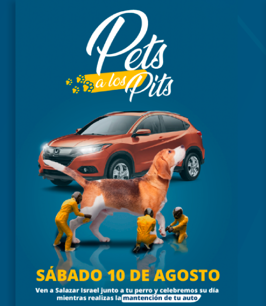 pets-a-los-pits